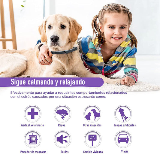 COLLAR RELAJANTE PARA PERROS FEROMONAS